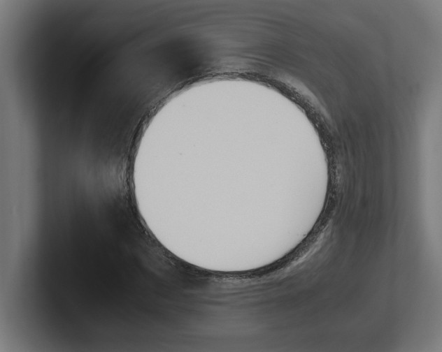 X0000102390873200808010932