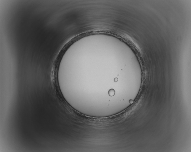 X0000102390875200808010932