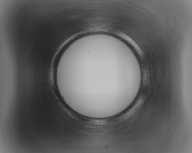 X0000102390878200808010932