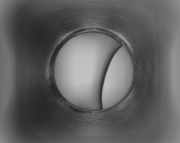 X0000102390879200808010932