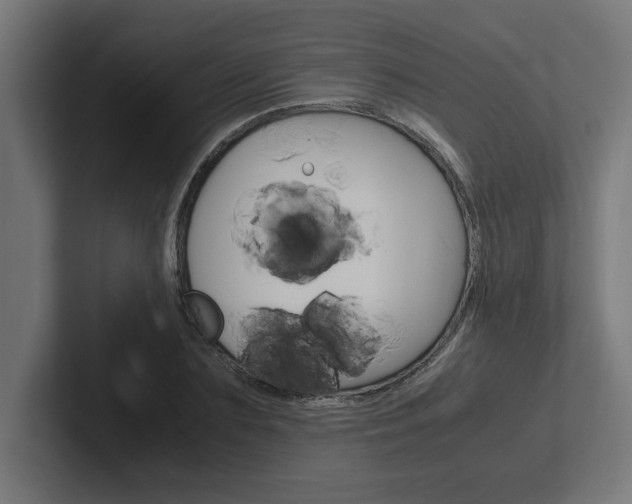 X0000102390883200808010932