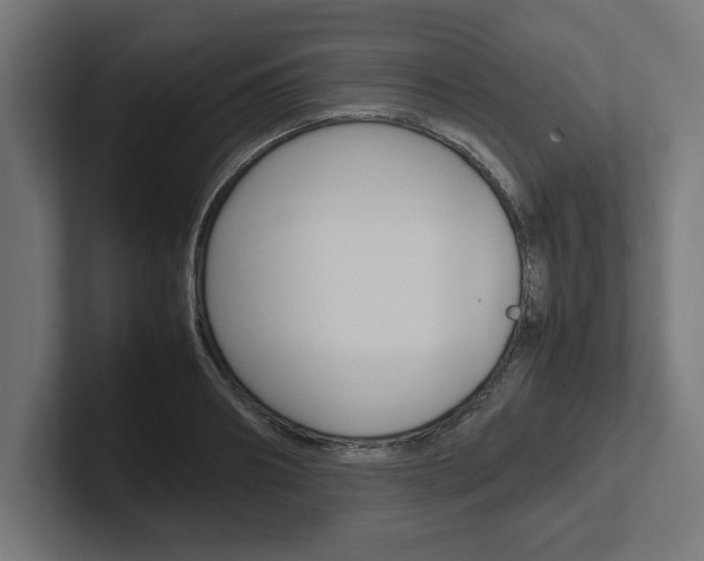 X0000102390890200808010932