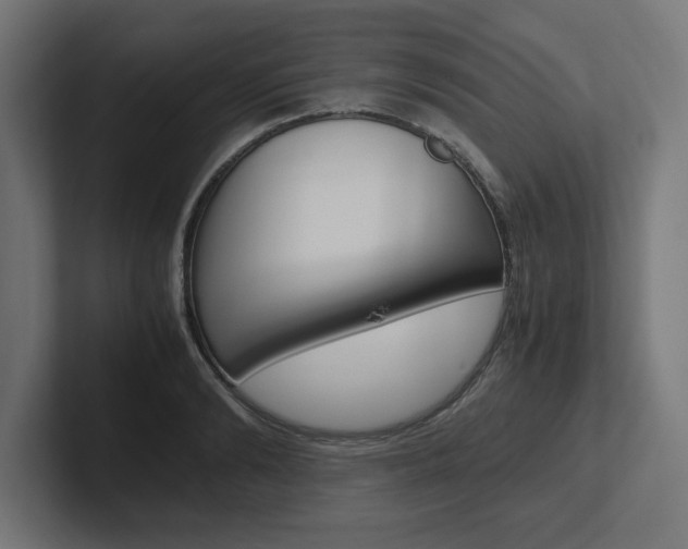 X0000102390894200808010932