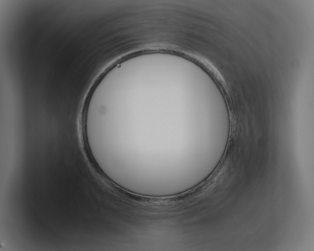 X0000102390895200808010932