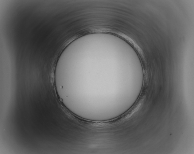 X0000102390897200808010932