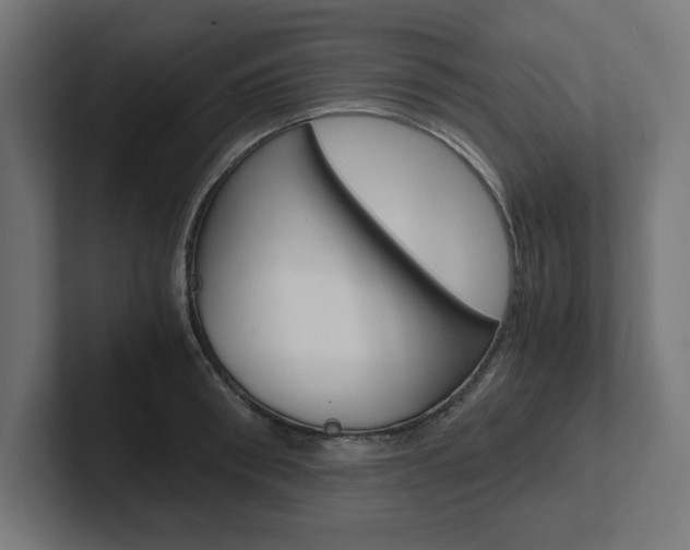 X0000102390898200808010932