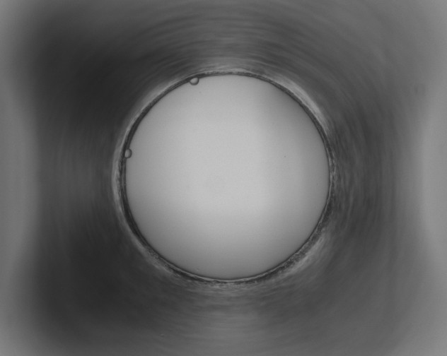 X0000102390901200808010932
