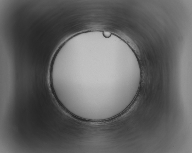 X0000102390904200808010932