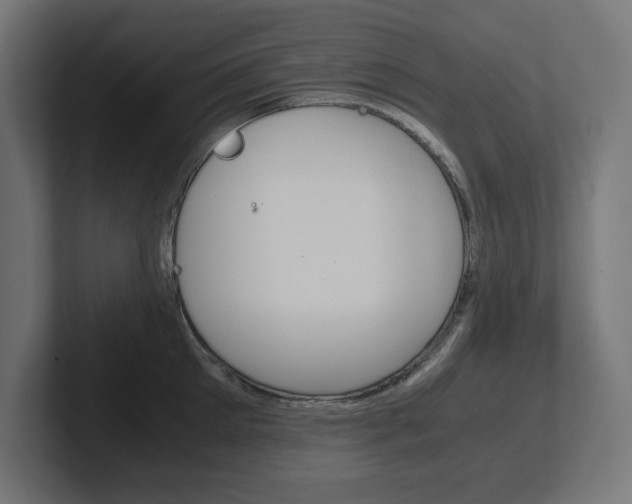 X0000102390905200808010932
