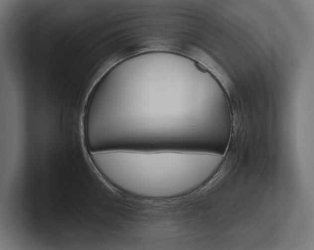 X0000102390906200808010932