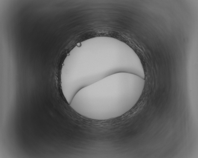 X0000102390916200808010931