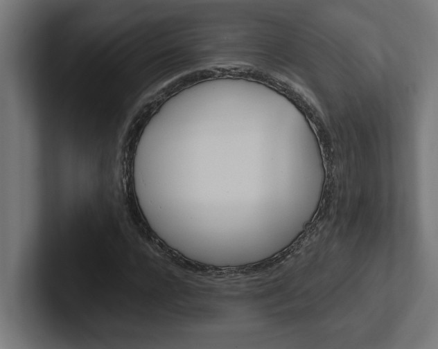 X0000102390920200808010931