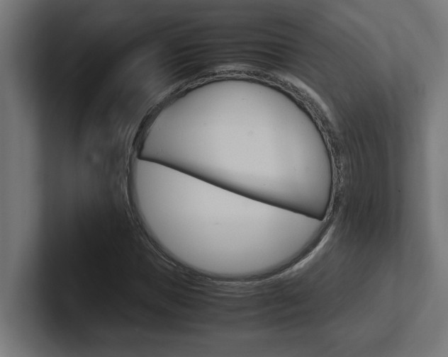 X0000102390921200808010931