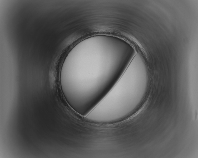 X0000102390922200808010931