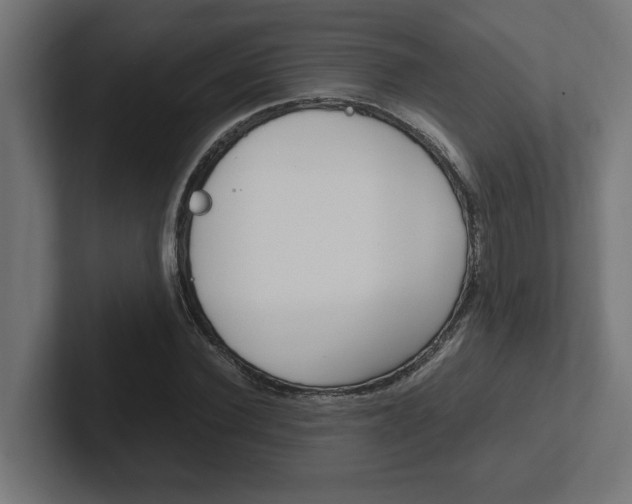 X0000102390924200808010931