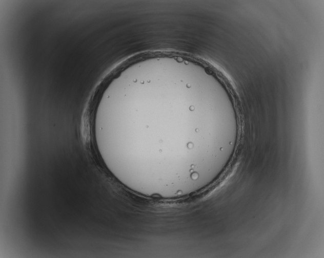X0000102390925200808010931