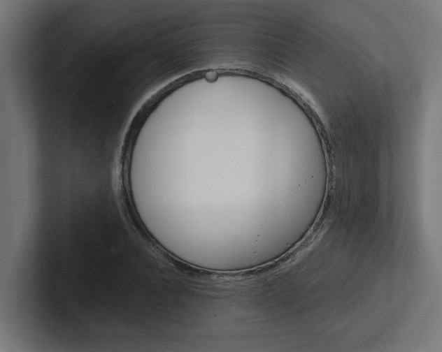 X0000102390928200808010931