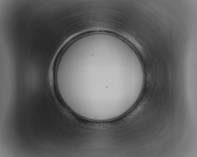 X0000102390934200808010931