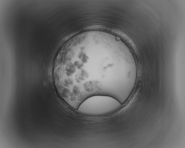 X0000102390937200808010931
