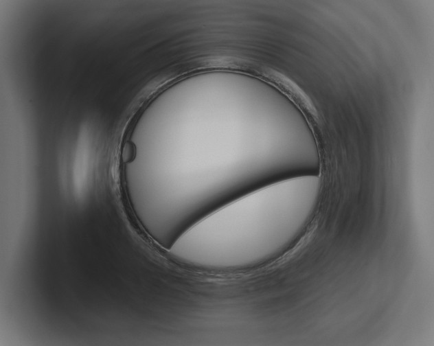 X0000102390938200808010931