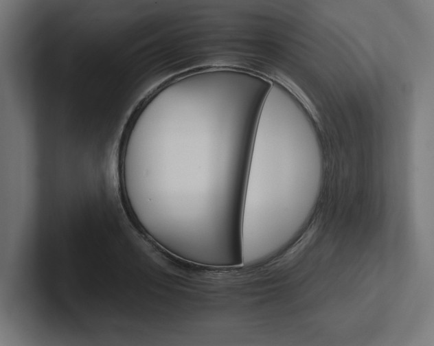 X0000102390939200808010931