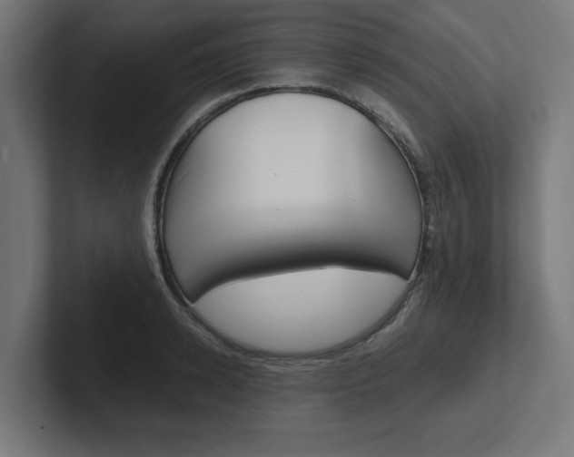 X0000102390942200808010931