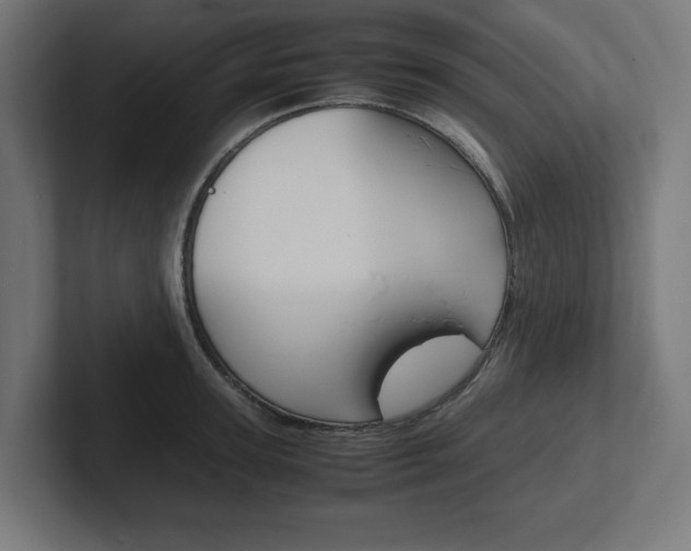 X0000102390947200808010932