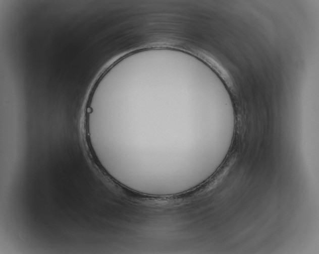 X0000102390948200808010932