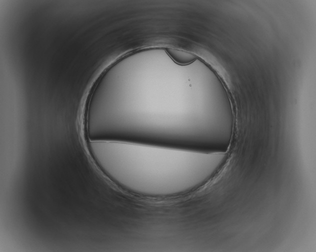 X0000102390949200808010932