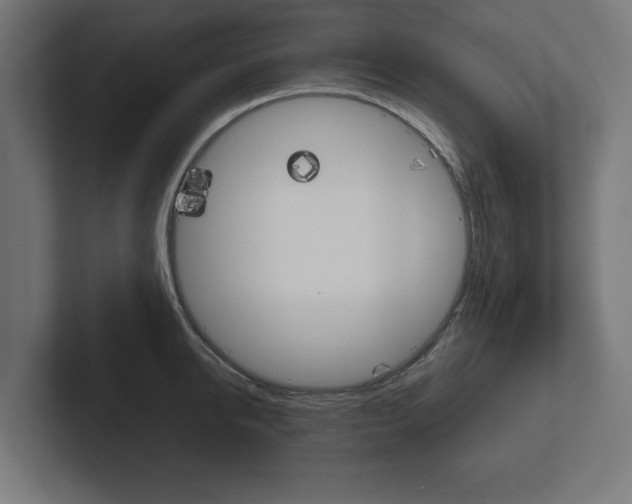 X0000102390950200808010932