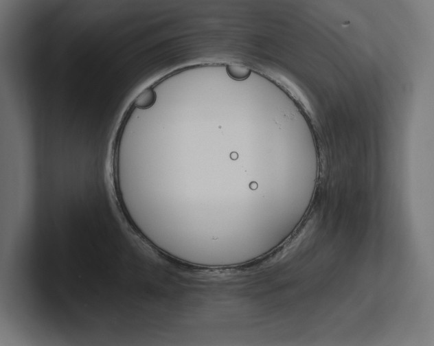 X0000102390952200808010932