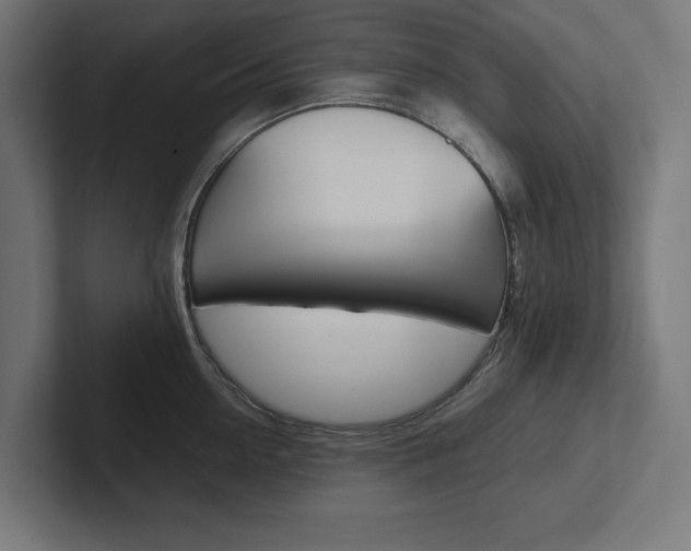 X0000102390954200808010932