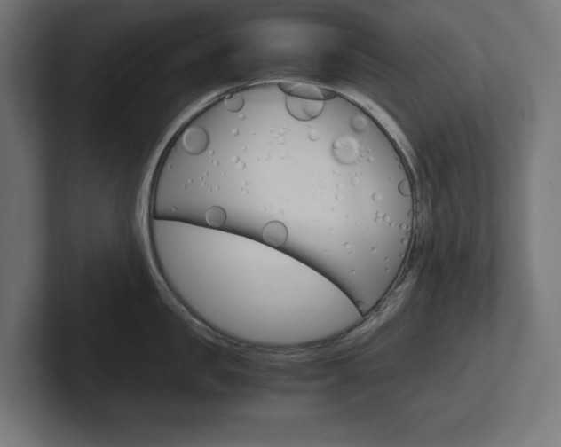 X0000102390957200808010932