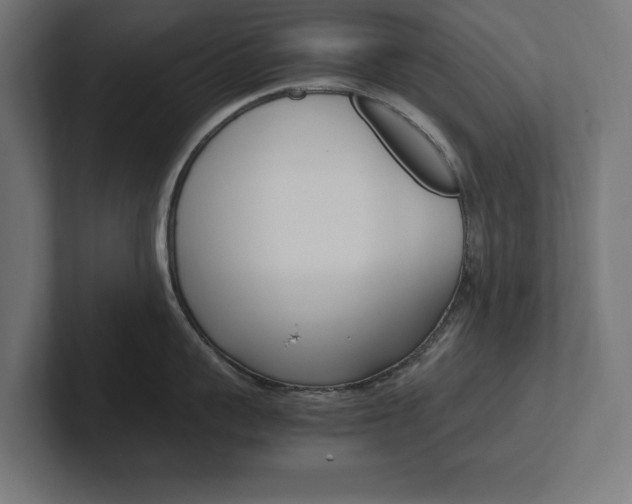 X0000102390959200808010932