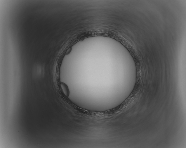 X0000102390961200808010931