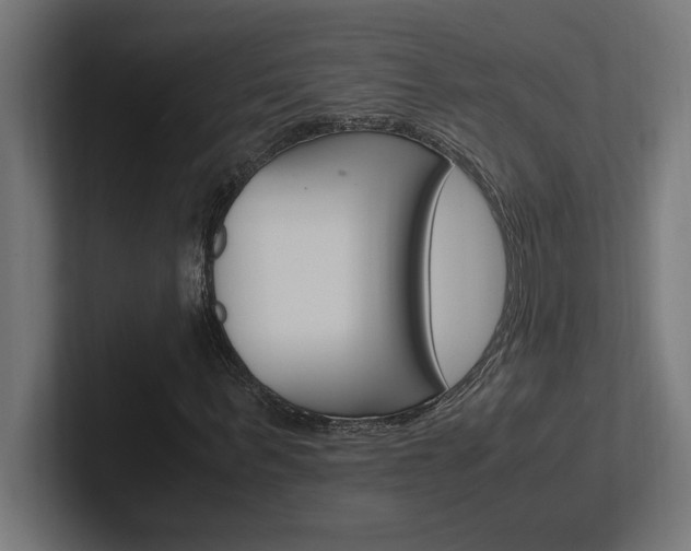 X0000102390963200808010931