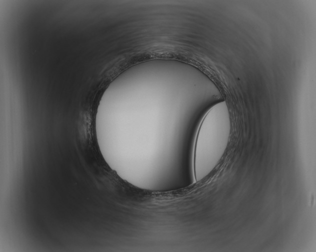 X0000102390964200808010931