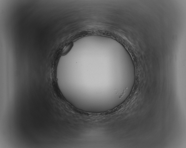 X0000102390965200808010931