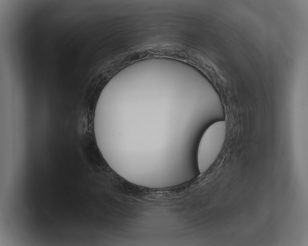 X0000102390966200808010931
