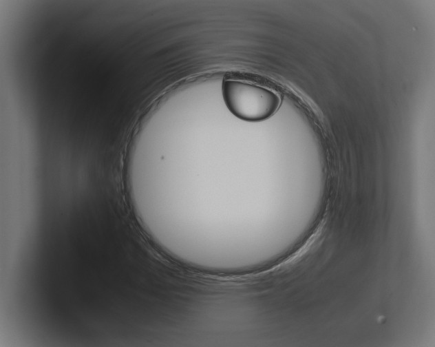 X0000102390969200808010931