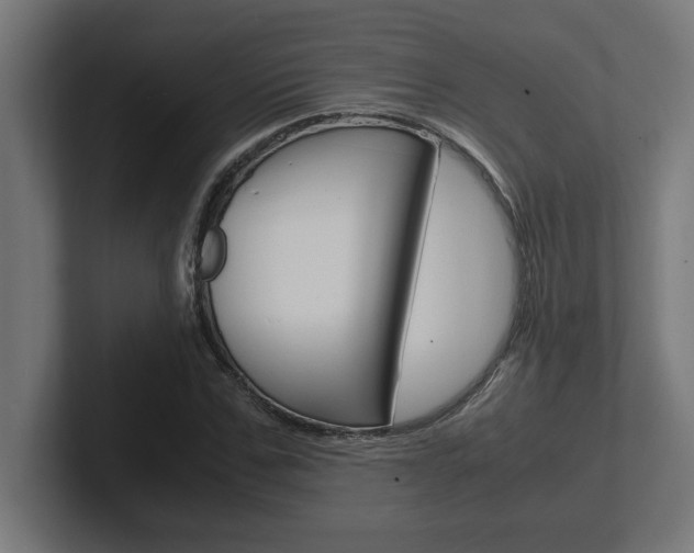 X0000102390971200808010931