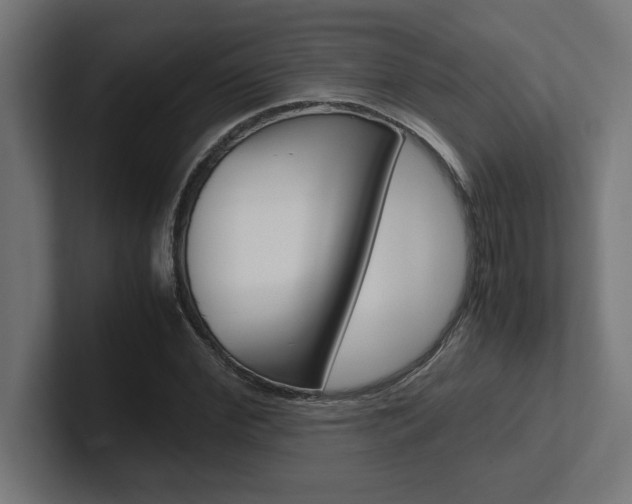 X0000102390972200808010931