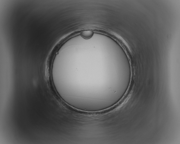 X0000102390973200808010931