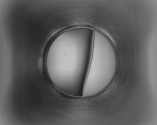 X0000102390975200808010931