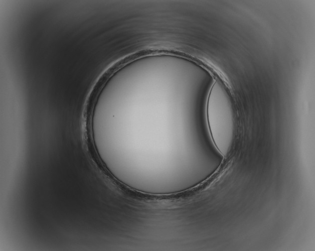 X0000102390976200808010931