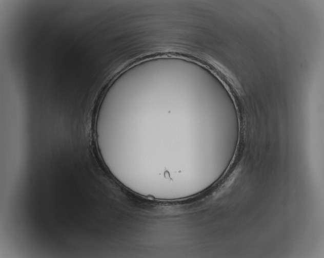 X0000102390977200808010931