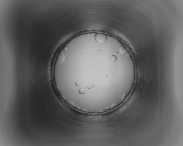 X0000102390978200808010931