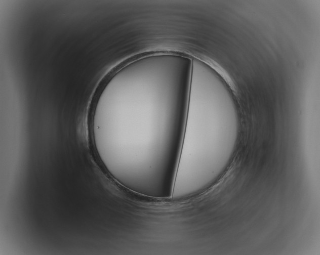 X0000102390980200808010931