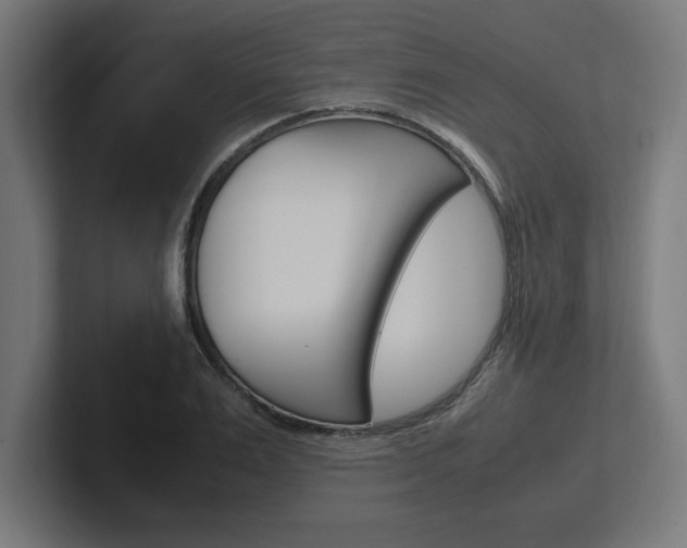X0000102390983200808010931