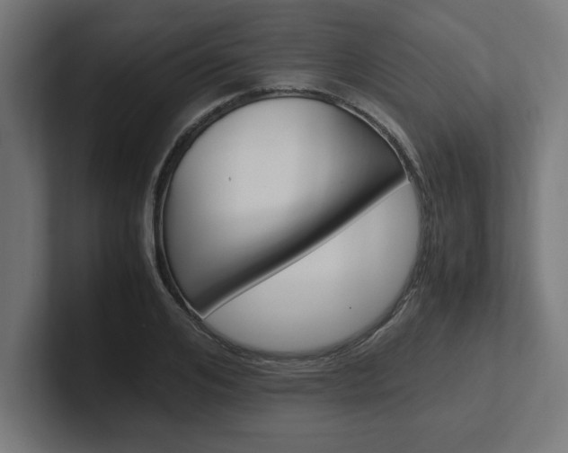 X0000102390984200808010931